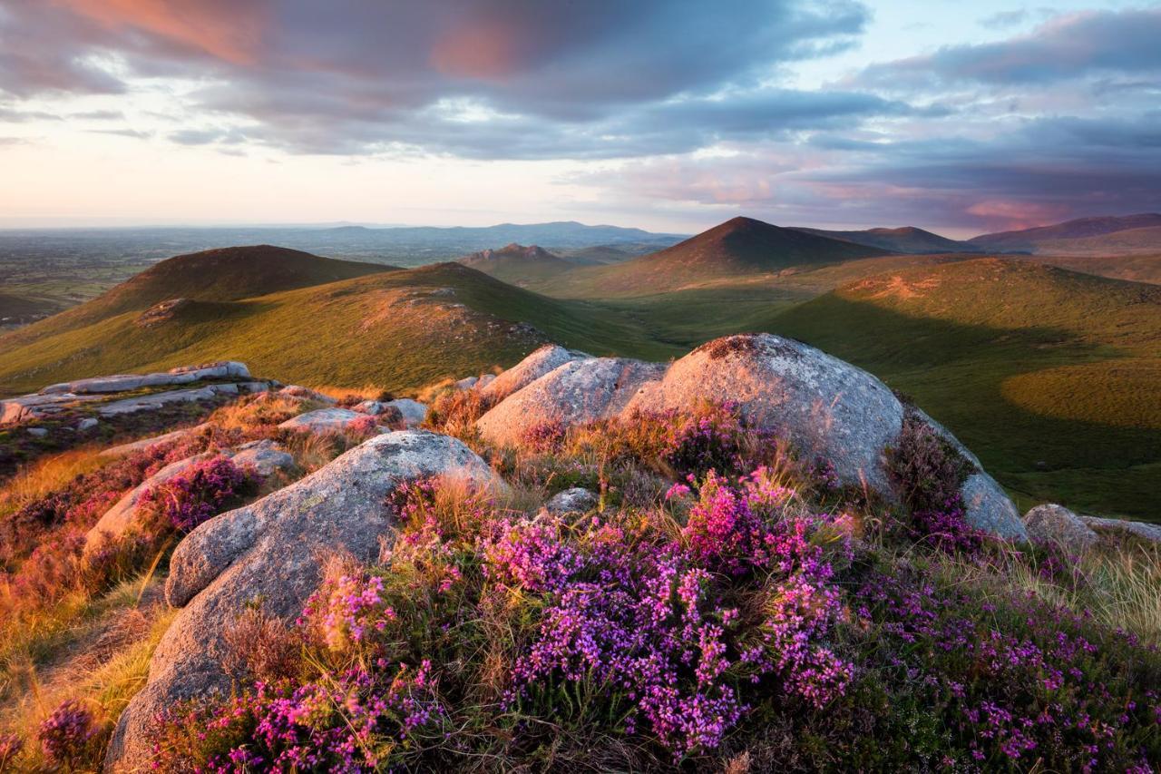 Oakwood Glamping Mourne Mountains